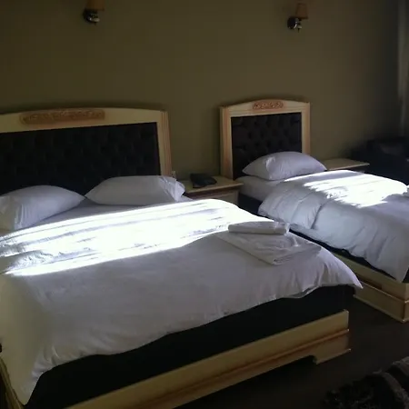 Hotel Ador Rinas